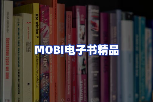 外文电子书产品